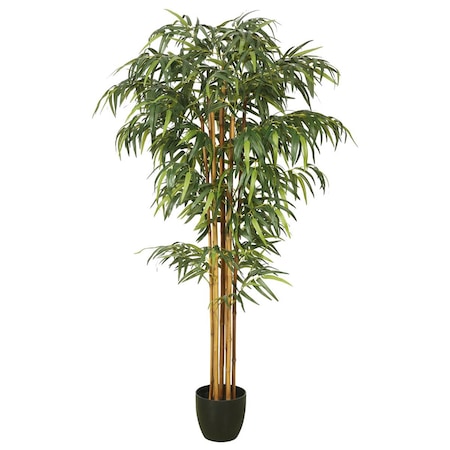 Vickerman 6 ft. Bamboo with Pot - Green TA170101